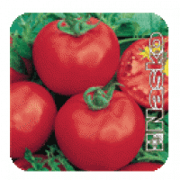 Семена томатов Яна
