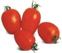 Семена томатов Галилея F1