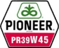 Семена кукурузы Pioneer ПР39В45 / РR39W45