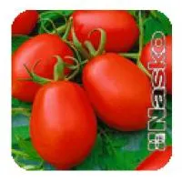 Семена томатов Марьюшка