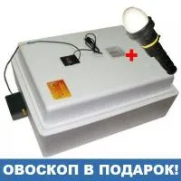 Инкубатор Золушка на 28 яиц (автомат, цифровой)