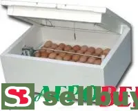 Инкубатор Идеальная наседка ИБ2НБ-1Ц (220В, механич. поворот, цифровое табло)
