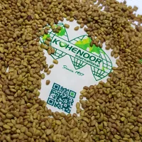 Alfalfa Seeds. Lucerne, Medicago Sativa