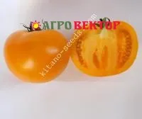 Семена желтого томата ЯМАМОТО F1