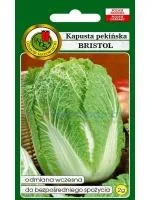 Капуста Бристоль пекинская, 2 г PNOS (семена)