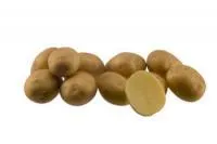 Картофель семенной "Маделен"